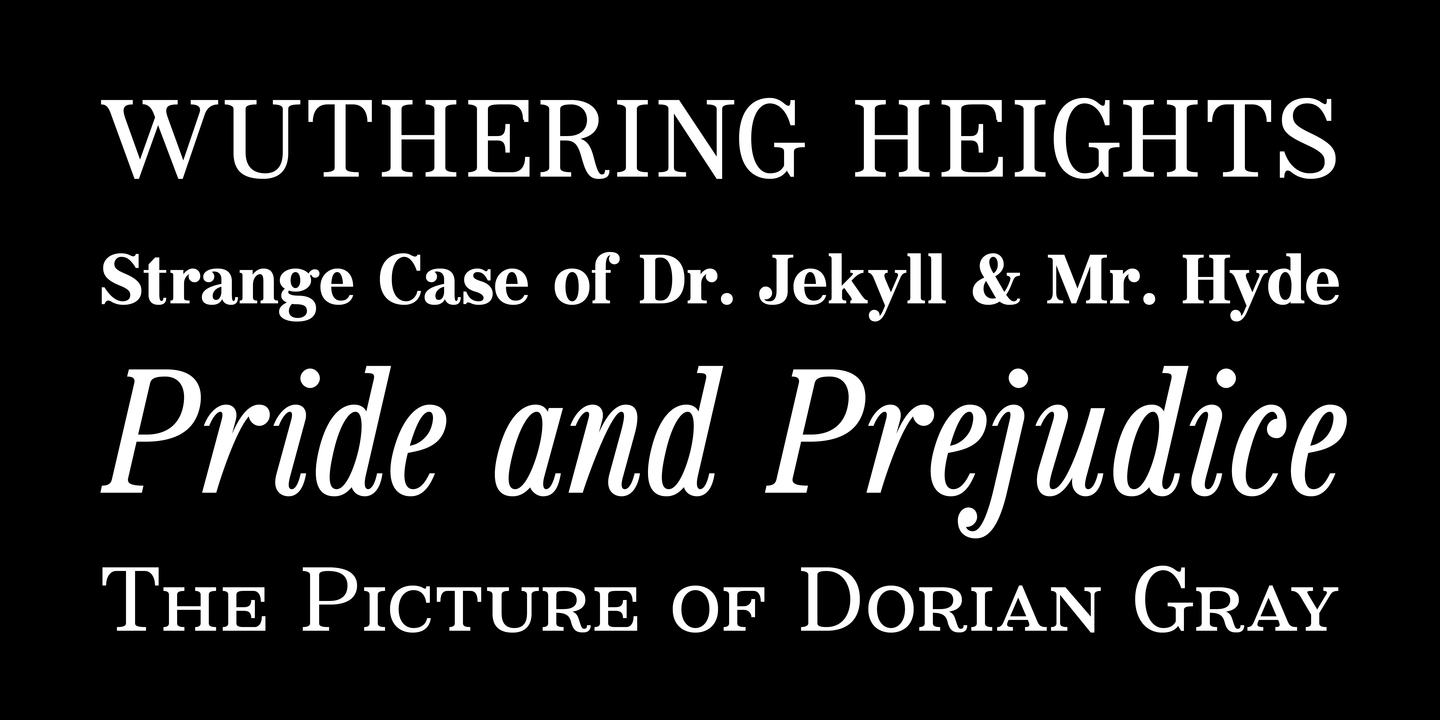 Bookseller Bk Reduced Bold Italic Font preview